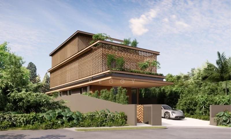 💎New Freehold Detached @ Berrima Road, D11 ★Eminance Landed★, Adam Road/Trevose Crescent/Berrima Road/Camborne Road/Dalkeith/Narooma/Kheam Hock/Dunearn Rd/Stevens MRT, Newton / Novena, 5 Bedrooms, 9,461 sqft, Detached House For Sale, by Peggy Guo, 500261399 - PropertyGuru.com.sg
