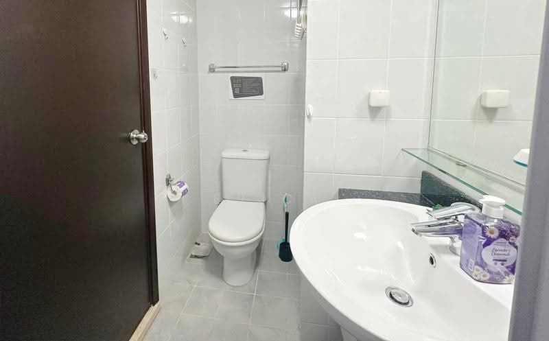 Amaninda, 329 Thomson Road, Newton / Novena, Room Rental, 100 sqft, Condominium For Rent, by Erica Yap, 500261541 - Bathroom - PropertyGuru.com.sg