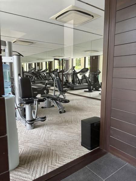 The Colonnade, 82 Grange Road, Tanglin / Holland / Bukit Timah, 3 Bedrooms, 3,617 sqft, Condominium For Rent, by Colin Choong, 500261621 - Gym - PropertyGuru.com.sg