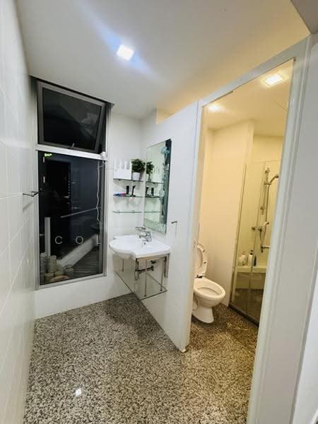 Kerrisdale, 30 Sturdee Road, Farrer Park / Serangoon Rd, Room Rental, 100 sqft, Condominium For Rent, by Bunny, 500262701 - Bathroom - PropertyGuru.com.sg