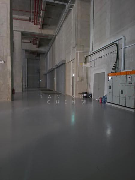 5 Toh Guan Road East, 5 Toh Guan Road East, Boon Lay / Jurong / Tuas, 42,784 sqft, Factory / Workshop (B2) For Rent, by Tan Kok Cheng (Nicholas Tan), 500262785 - Interior - CommercialGuru.com.sg