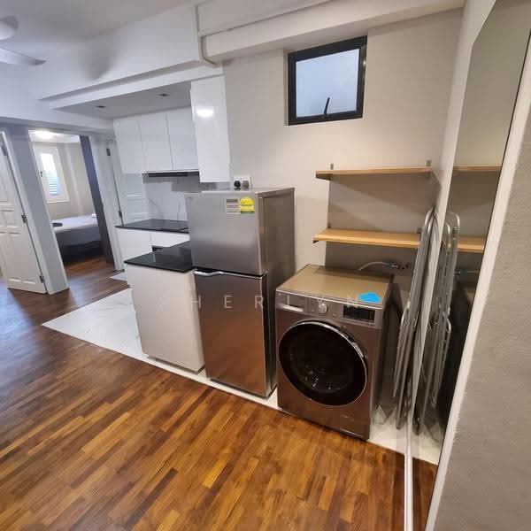 Pegu Road, Pegu Road, Newton / Novena, 1 Bedroom, 530 sqft, Apartment For Rent, by Sherlyn Koh, 500262925 - Kitchen - PropertyGuru.com.sg