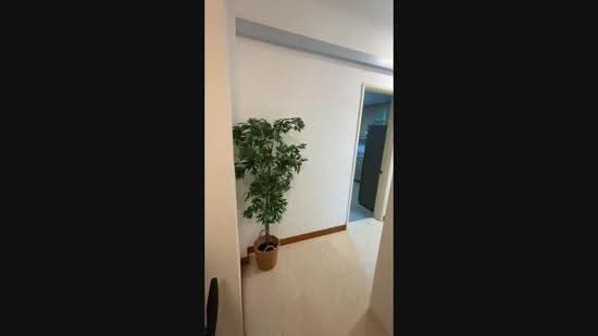 La Crystal, 160 Killiney Road, Orchard / River Valley, Room Rental, 120 sqft, Condominium For Rent, by Steve Voon, 500263236 - PropertyGuru.com.sg