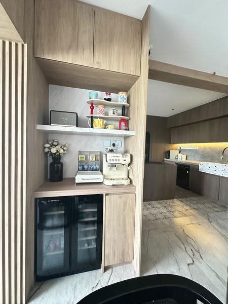 Townhouse Apartments, 139 Cavenagh Road, Orchard / River Valley, 4 Bedrooms, 2,142 sqft, Apartment For Sale, by Ice Tham, 500263380 - Kitchen - PropertyGuru.com.sg