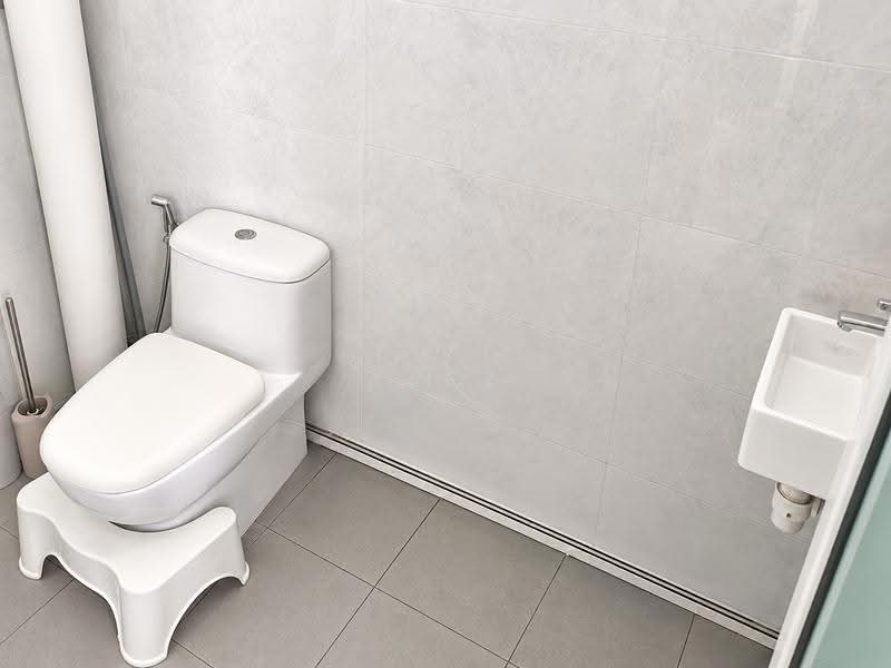 370 Bukit Batok Street 31, 370 Bukit Batok Street 31, Dairy Farm / Bukit Panjang / Choa Chu Kang, Room Rental, 100 sqft, HDB Flat For Rent, by Alex Toh C W, 500263420 - Bathroom - PropertyGuru.com.sg