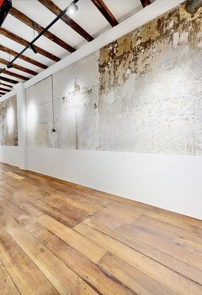 Freehold Commercial Shophouse near Lavender, Farrer Park / Serangoon Rd, 4,800 sqft, Shop / Shophouse For Sale, by Julie Soh 苏保历, 500263598 - CommercialGuru.com.sg