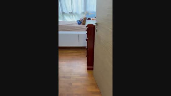 The Palette, 103 Pasir Ris Grove, Pasir Ris / Tampines, 3 Bedrooms, 893 sqft, Condominium For Sale, by Cynthia Kok, 500263606 - PropertyGuru.com.sg