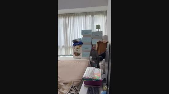The Palette, 103 Pasir Ris Grove, Pasir Ris / Tampines, 3 Bedrooms, 893 sqft, Condominium For Sale, by Cynthia Kok, 500263606 - PropertyGuru.com.sg