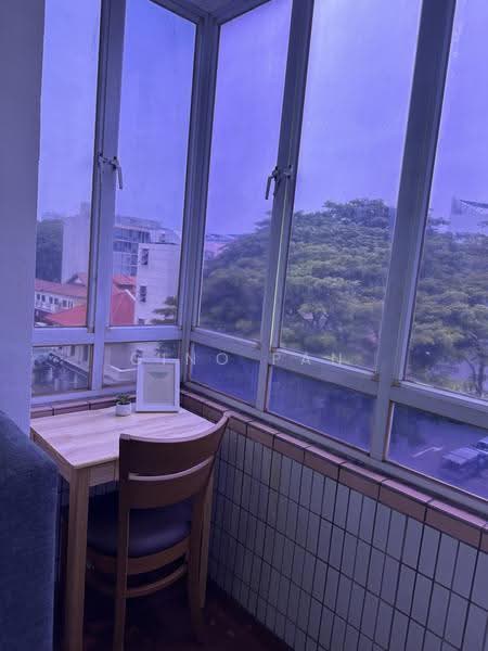 Palm Lodge, 4 Geylang Lor 37, Eunos / Geylang / Paya Lebar, Room Rental, 100 sqft, Condominium For Rent, by Gino Pan, 500263991 - Balcony - PropertyGuru.com.sg