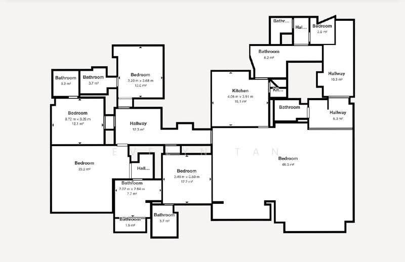 Ardmore Park, 15 Ardmore Park, Tanglin / Holland / Bukit Timah, 4 Bedrooms, 2,885 sqft, Condominium For Sale, by Evelyn Tan, 500264146 - PropertyGuru.com.sg