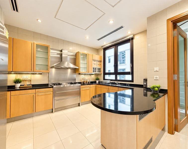 Ardmore Park, 15 Ardmore Park, Tanglin / Holland / Bukit Timah, 4 Bedrooms, 2,885 sqft, Condominium For Sale, by Evelyn Tan, 500264146 - Kitchen - PropertyGuru.com.sg