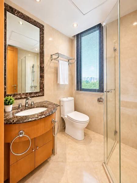 Ardmore Park, 15 Ardmore Park, Tanglin / Holland / Bukit Timah, 4 Bedrooms, 2,885 sqft, Condominium For Sale, by Evelyn Tan, 500264146 - Bathroom - PropertyGuru.com.sg
