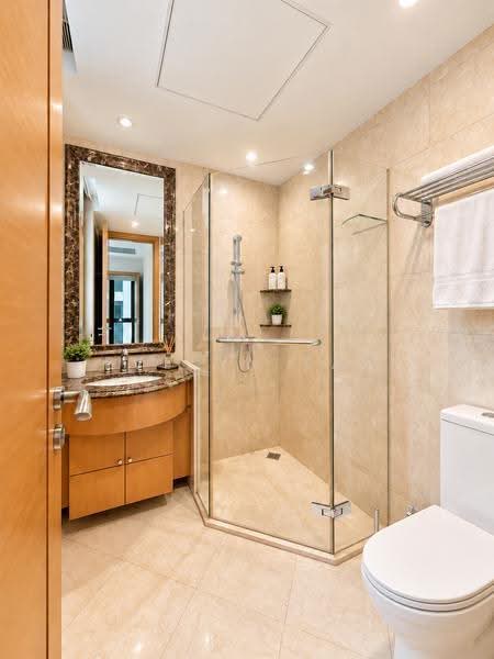 Ardmore Park, 15 Ardmore Park, Tanglin / Holland / Bukit Timah, 4 Bedrooms, 2,885 sqft, Condominium For Sale, by Evelyn Tan, 500264146 - Bathroom - PropertyGuru.com.sg