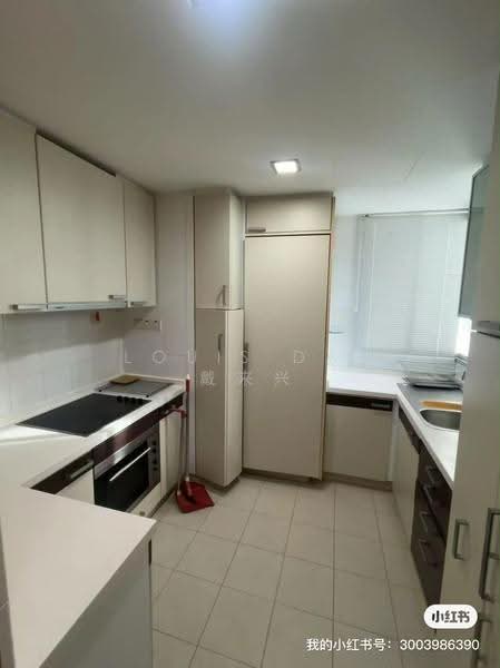 The Levelz, 38 Farrer Road, Tanglin / Holland / Bukit Timah, 3 Bedrooms, 1,334 sqft, Condominium For Sale, by Louis Dai 戴来兴, 500264413 - Kitchen - PropertyGuru.com.sg