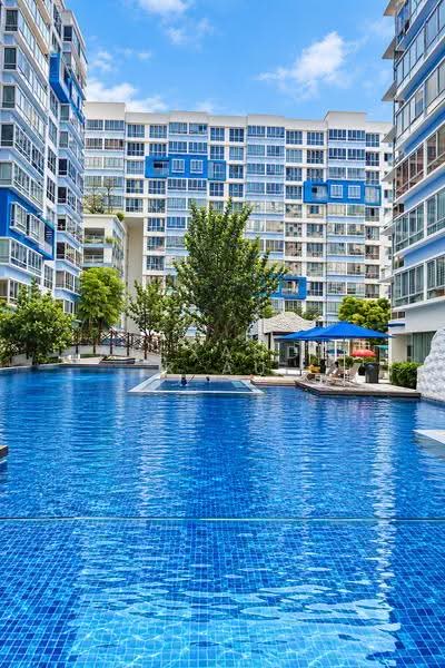 La Casa, 64 Woodlands Drive 16, Admiralty / Woodlands, Room Rental, 150 sqft, Condominium For Rent, by Alexander Au, 500264545 - Pool - PropertyGuru.com.sg