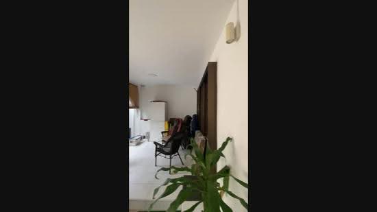 Thomson Park, Sin Ming Rd / Upper Thomson Rd, Ang Mo Kio / Bishan / Thomson, 4 Bedrooms, 1,815 sqft, Terraced House For Rent, by Megan Yvonne, 500264641 - PropertyGuru.com.sg