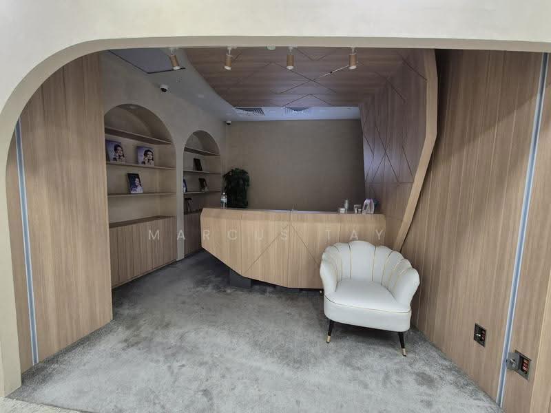 The Central, 6 Eu Tong Sen Street, Boat Quay / Raffles Place / Marina, 1,133 sqft, Mall Shop For Rent, by Marcus Tay, 500264770 - Interior - CommercialGuru.com.sg