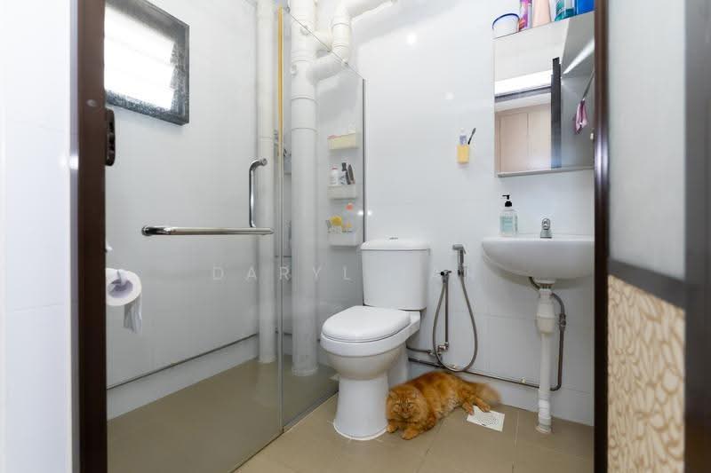 303A Anchorvale Link, 303A Anchorvale Link, Hougang / Punggol / Sengkang, 3 Bedrooms, 969 sqft, HDB Flat For Sale, by Daryl Tan, 500264775 - Common Bathroom - PropertyGuru.com.sg