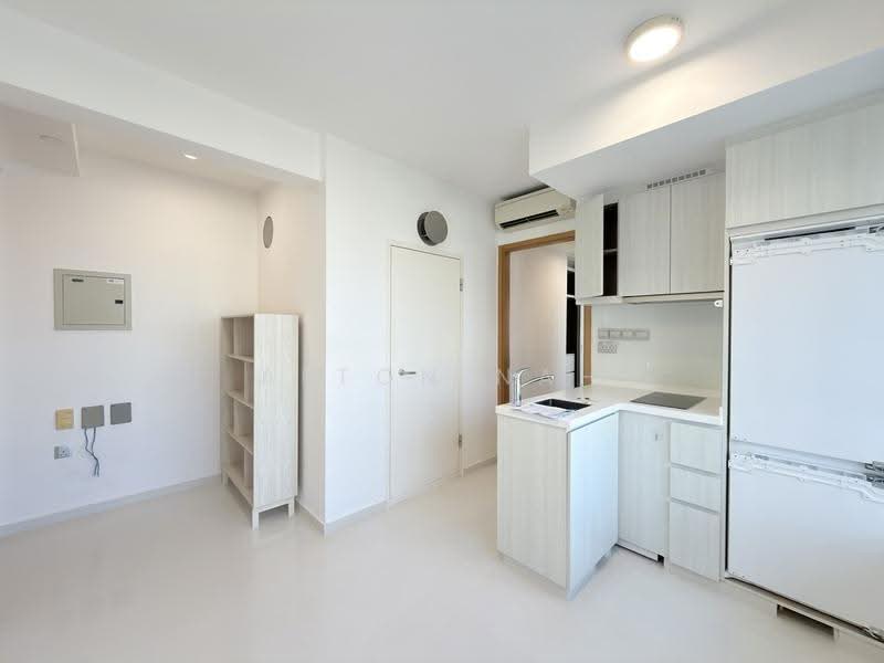 Devonshire Residences, 55 Devonshire Road, Orchard / River Valley, 1 Bedroom, 495 sqft, Condominium For Rent, by Alton Nah, 500265114 - Kitchen - PropertyGuru.com.sg