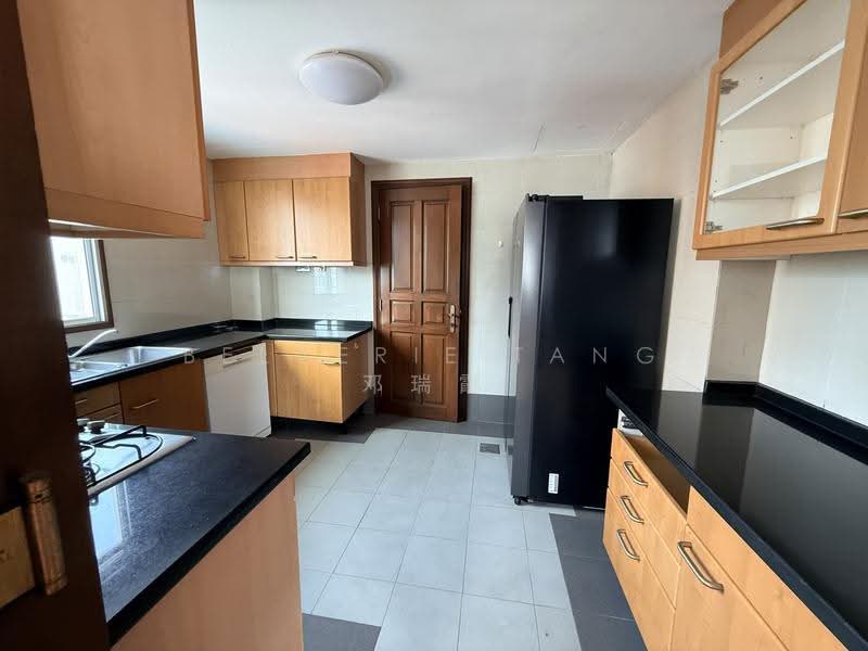 Hullet Rise, 6 Hullet Road, Orchard / River Valley, 3 Bedrooms, 1,147 sqft, Condominium For Rent, by Belverie Tang 邓瑞霞, 500265239 - Kitchen - PropertyGuru.com.sg