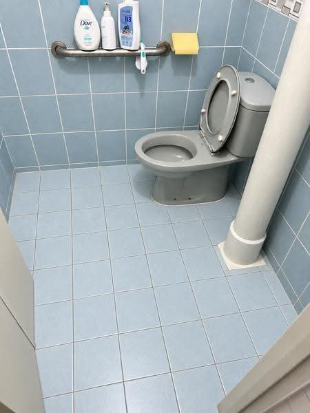 414 Ang Mo Kio Avenue 10, 414 Ang Mo Kio Avenue 10, Ang Mo Kio / Bishan / Thomson, Room Rental, 100 sqft, HDB Flat For Rent, by Sharon Kong, 500265347 - Bathroom - PropertyGuru.com.sg
