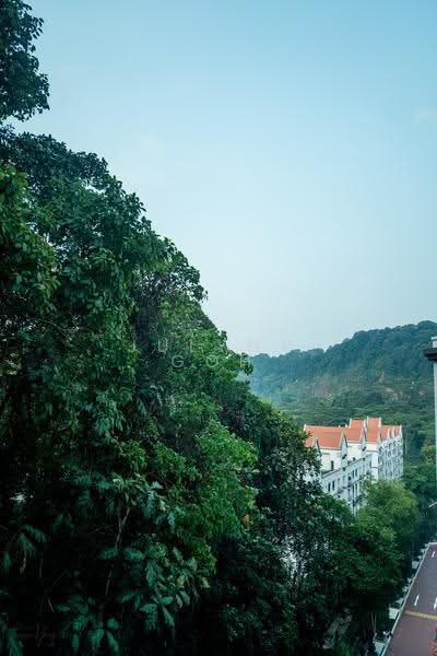 The Hillside, 341 Upper Bukit Timah Road, Clementi Park / Upper Bukit Timah, 4 Bedrooms, 1,776 sqft, Condominium For Rent, by Julynn Goh, 500265675 - Exterior | SageHomes - PropertyGuru.com.sg
