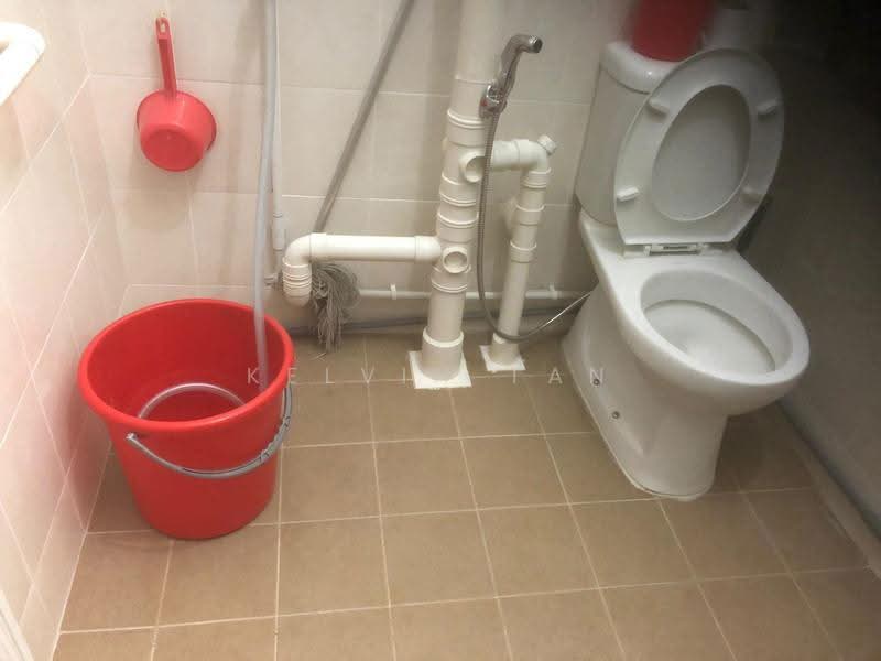 229 Bukit Batok East Avenue 3, 229 Bukit Batok East Avenue 3, Dairy Farm / Bukit Panjang / Choa Chu Kang, Room Rental, 150 sqft, HDB Flat For Rent, by Kelvin Tan, 500265699 - Bathroom - PropertyGuru.com.sg