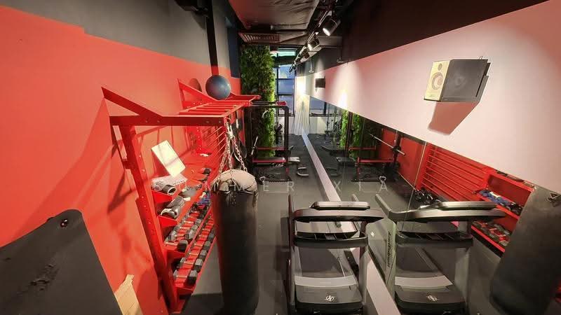Orchard Road building, Orchard Road / Claymore hill / River Valley, Orchard / River Valley, 27,900 sqft, Other Retail For Rent, by Summer Xia, 500266549 - CommercialGuru.com.sg