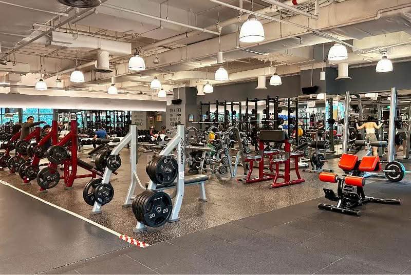Velocity @ Novena Square, 238 Thomson Road, Newton / Novena, 14,822 sqft, Other Retail For Rent, by Jeremy Low, 500266562 - Gym - CommercialGuru.com.sg
