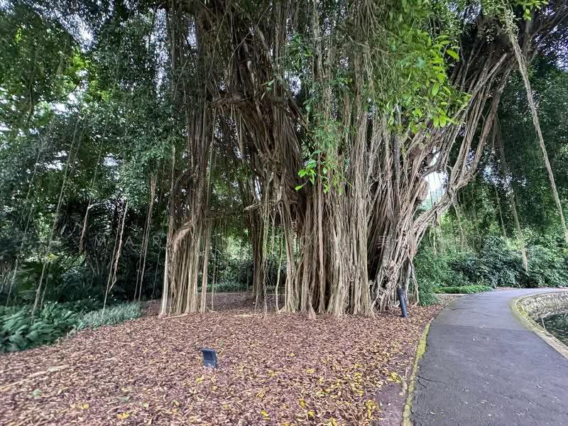 VALUE BUY GCBA!! WIDE~30M FRONTAGE. HILLTOP!!, Newton / Novena, 4 Bedrooms, 3,500 sqft, Good Class Bungalow For Sale, by Martin Goh 吴伟楠, 500266673 - Exterior - PropertyGuru.com.sg