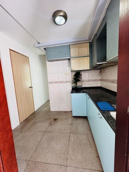 Sophia Lodge, 69 Sophia Road, Orchard / River Valley, Room Rental, 100 sqft, Apartment For Rent, by Bunny, 500266946 - Kitchen - PropertyGuru.com.sg