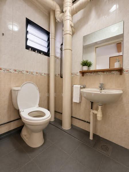 18 Cantonment Close, 18 Cantonment Close, Chinatown / Tanjong Pagar, 2 Bedrooms, 1,184 sqft, HDB Flat For Rent, by Derek Tay, 500267199 - Master Ensuite Bathroom - PropertyGuru.com.sg