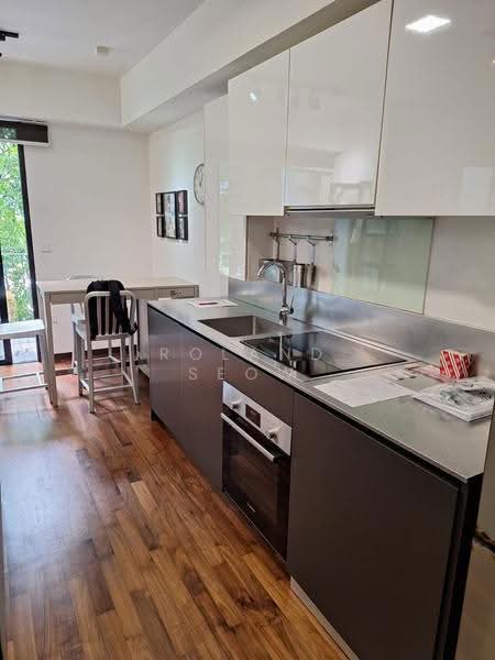 Hijauan, 63 Cavenagh Road, Orchard / River Valley, Studio, 527 sqft, Apartment For Sale, by Roland Seow, 500267341 - Kitchen - PropertyGuru.com.sg