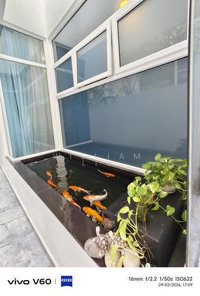 kerong lane, Sembawang / Yishun, 5 Bedrooms, 4,300 sqft, Semi-Detached House For Sale, by William Liu, 500267464 - Garden - PropertyGuru.com.sg