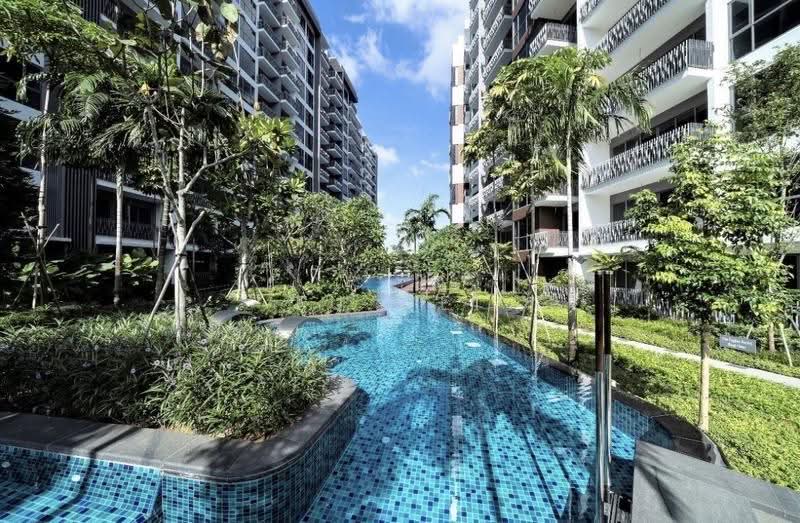 Forest Woods, Hougang / Punggol / Sengkang, Room Rental, 80 sqft, Condominium For Rent, by Fu Wei, 500267574 - PropertyGuru.com.sg