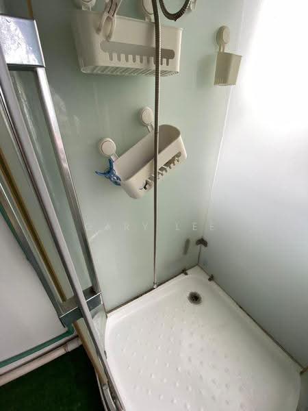 Teresa Ville, 1001 Lower Delta Road, Harbourfront / Telok Blangah, Room Rental, 200 sqft, Condominium For Rent, by Gary Lee, 500267692 - Bathroom - PropertyGuru.com.sg