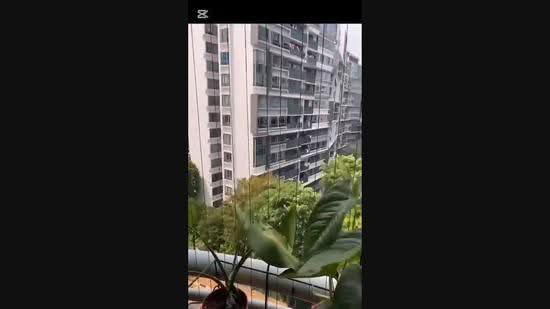 Elias Green, Pasir Ris / Tampines, 3 Bedrooms, 1,528 sqft, Condominium For Sale, by Stella Thio, 500267861 - PropertyGuru.com.sg