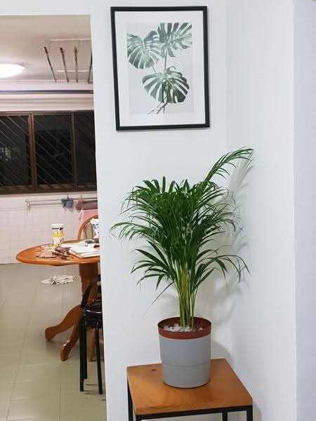 561 Ang Mo Kio Avenue 10, 561 Ang Mo Kio Avenue 10, Ang Mo Kio / Bishan / Thomson, 2 Bedrooms, 732 sqft, HDB Flat For Sale, by Jimmy Poh, 500267889 - Interior - PropertyGuru.com.sg