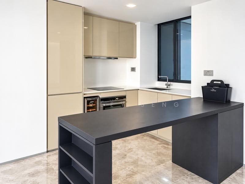Skysuites @ Anson, 8 Enggor Street, Chinatown / Tanjong Pagar, 3 Bedrooms, 958 sqft, Condominium For Rent, by Shirley Seng, 500268276 - Kitchen - PropertyGuru.com.sg
