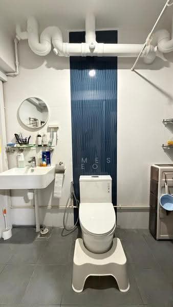 114 Rivervale Walk, 114 Rivervale Walk, Hougang / Punggol / Sengkang, 3 Bedrooms, 1,313 sqft, HDB Flat For Sale, by James Yeo, 500268647 - Bathroom - PropertyGuru.com.sg