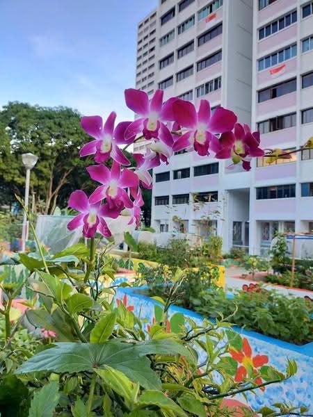 522 Jurong West Street 52, 522 Jurong West Street 52, Boon Lay / Jurong / Tuas, Room Rental, 150 sqft, HDB Flat For Rent, by Evelyn Toh, 500268764 - Exterior - PropertyGuru.com.sg