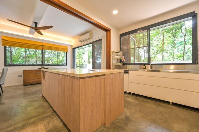 Greenleaf Place, Greenleaf Place, Tanglin / Holland / Bukit Timah, 4 Bedrooms, 3,563 sqft, Semi-Detached House For Sale, by Ling Shek, 500269140 - Modern Kitchen - PropertyGuru.com.sg