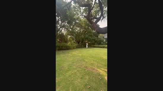 Rare Large-Plot Bungalow | Freehold | Huge Garden | Bukit Timah, Swiss club, jalan kampong Chantek , jalan Senandong, Clementi Park / Upper Bukit Timah, 4 Bedrooms, 4,500 sqft, Bungalow House For Sale, by Pearl Tan, 500269252 - PropertyGuru.com.sg