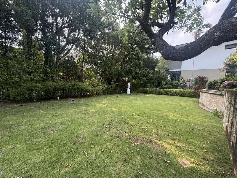 Rare Large-Plot Bungalow | Freehold | Huge Garden | Bukit Timah, Swiss club, jalan kampong Chantek , jalan Senandong, Clementi Park / Upper Bukit Timah, 4 Bedrooms, 4,500 sqft, Bungalow House For Sale, by Pearl Tan, 500269252 - Garden - PropertyGuru.com.sg
