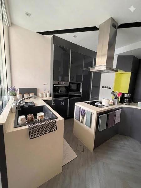 Aspen Heights, 261 River Valley Road, Orchard / River Valley, 2 Bedrooms, 1,130 sqft, Condominium For Sale, by Brian Wong, 500269290 - Kitchen - PropertyGuru.com.sg