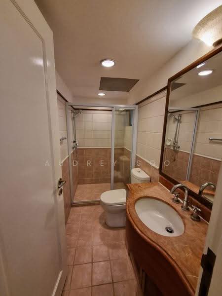 Cavenagh Lodge, 81 Cavenagh Road, Orchard / River Valley, 3 Bedrooms, 1,591 sqft, Apartment For Rent, by Audrey Soo, 500269458 - Bathroom - PropertyGuru.com.sg