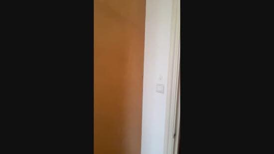 Heritage View, 6 Dover Rise, Buona Vista / West Coast / Clementi New Town, Room Rental, 150 sqft, Condominium For Rent, by Steve Teo, 500269950 - PropertyGuru.com.sg
