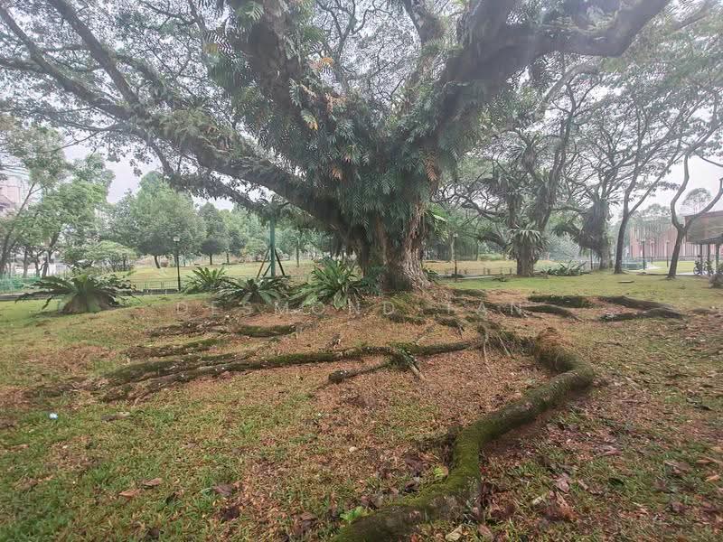 Dairy Farm/Cashew MRT/CHIJ, St Joseph Church, Dairy Farm / Bukit Panjang / Choa Chu Kang, 5 Bedrooms, 4,000 sqft, Bungalow House For Rent, by Desmond Tan, 500269997 - Exterior - PropertyGuru.com.sg