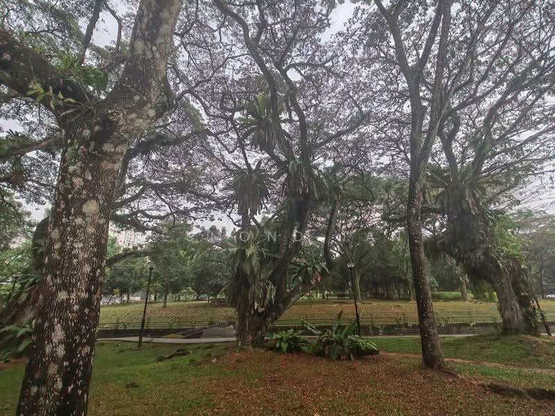 Dairy Farm/Cashew MRT/CHIJ, St Joseph Church, Dairy Farm / Bukit Panjang / Choa Chu Kang, 5 Bedrooms, 4,000 sqft, Bungalow House For Rent, by Desmond Tan, 500269997 - Exterior - PropertyGuru.com.sg