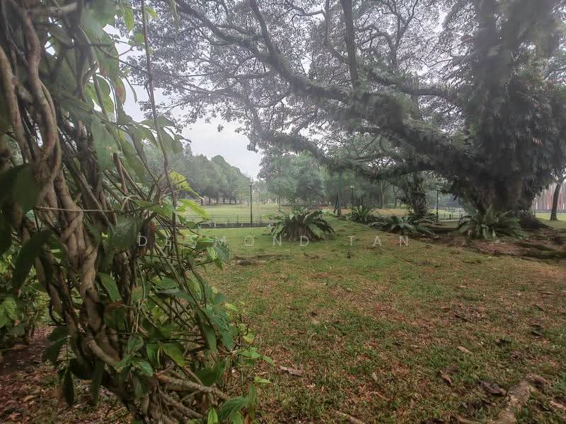 Dairy Farm/Cashew MRT/CHIJ, St Joseph Church, Dairy Farm / Bukit Panjang / Choa Chu Kang, 5 Bedrooms, 4,000 sqft, Bungalow House For Rent, by Desmond Tan, 500269997 - Exterior - PropertyGuru.com.sg
